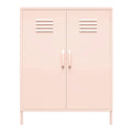 2 Door Metal Locker Storage Cabinet U46291