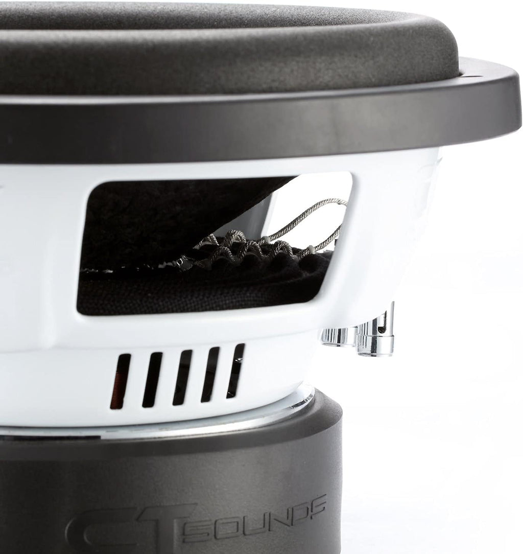 10 Inch Car Subwoofer Dual 2 Ohm R6165