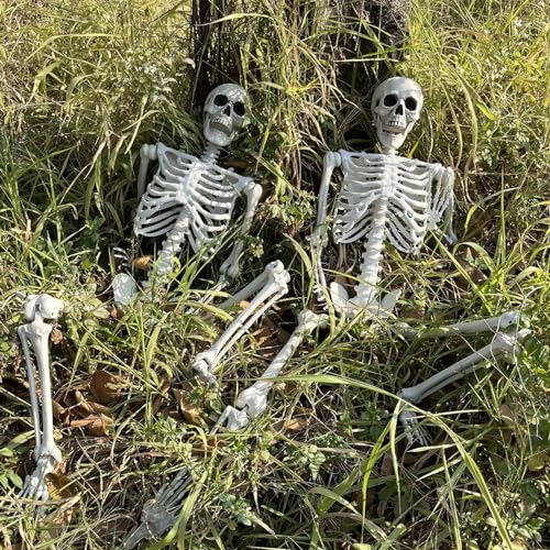 5.4Ft Life Size Skeleton with Movable Joints W1779
