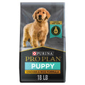 Chicken & Rice Formula Dry Puppy Food B87782