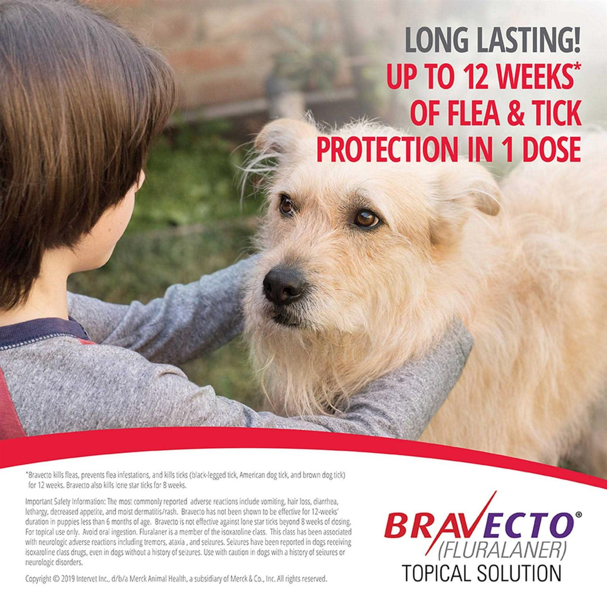 Topical Solution for Dogs Z58918
