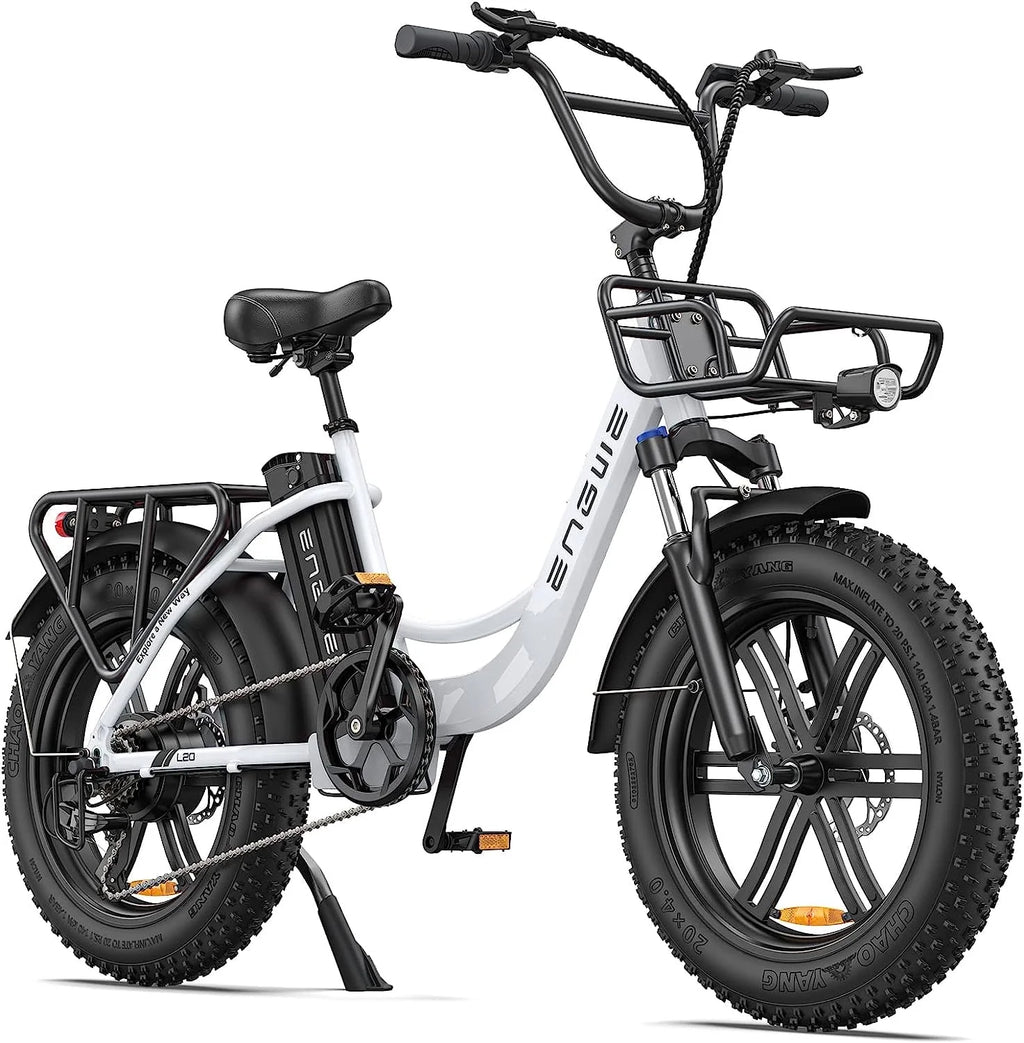 Folding Electric Bike 750W Fat Tire V425