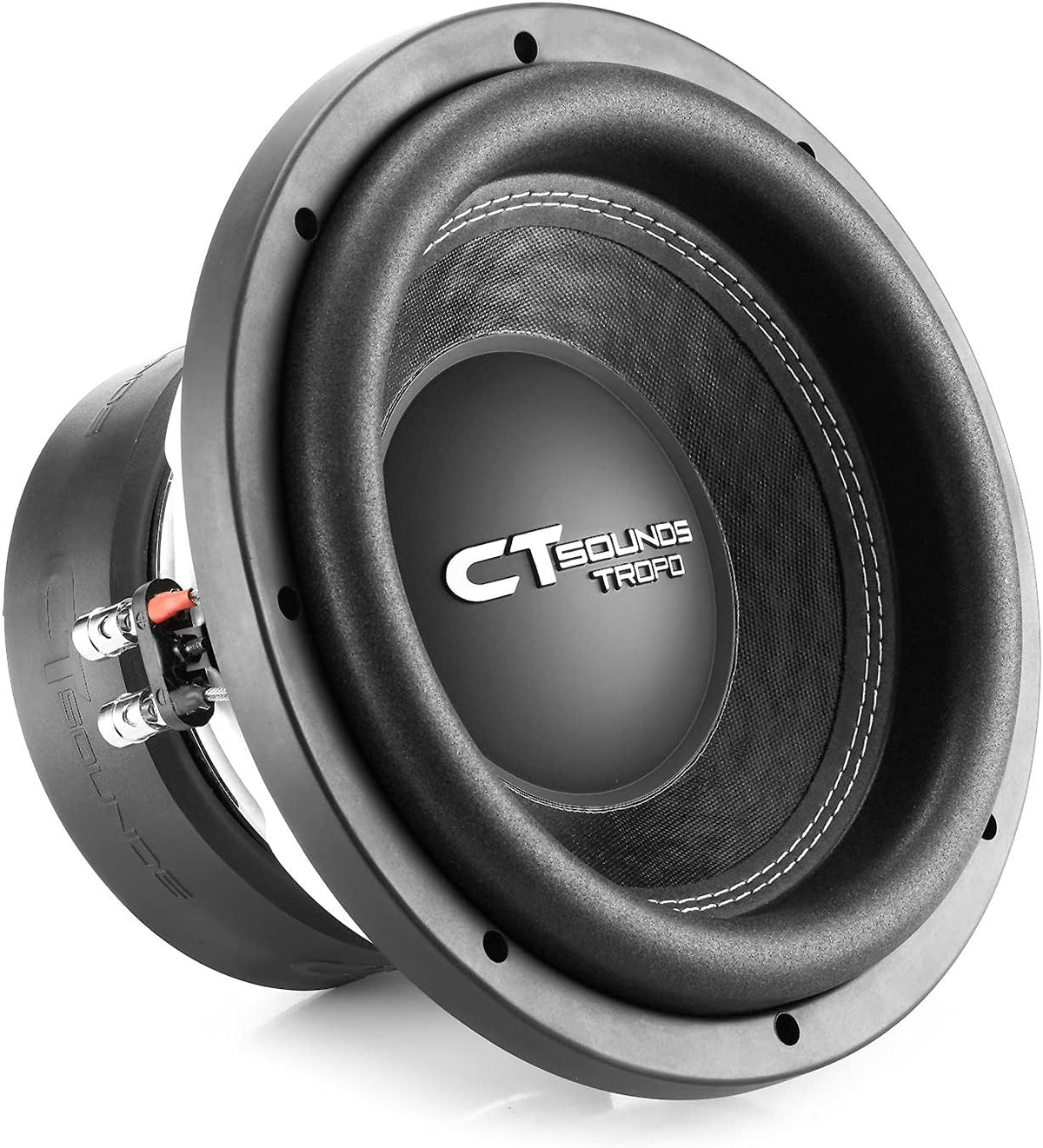 10 Inch Car Subwoofer Dual 2 Ohm R6165