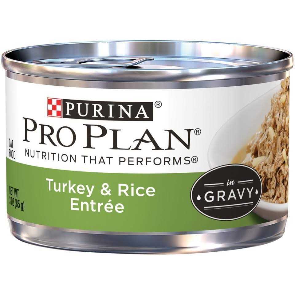 Turkey & Rice Entree Canned Cat Food O618