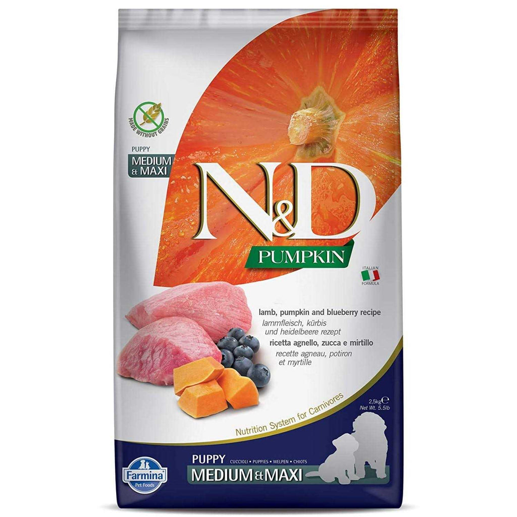 Pumpkin Lamb & Blueberry Puppy Dry Dog Food X51877