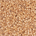 11/0 Size 100 GMS Seed Beads H899