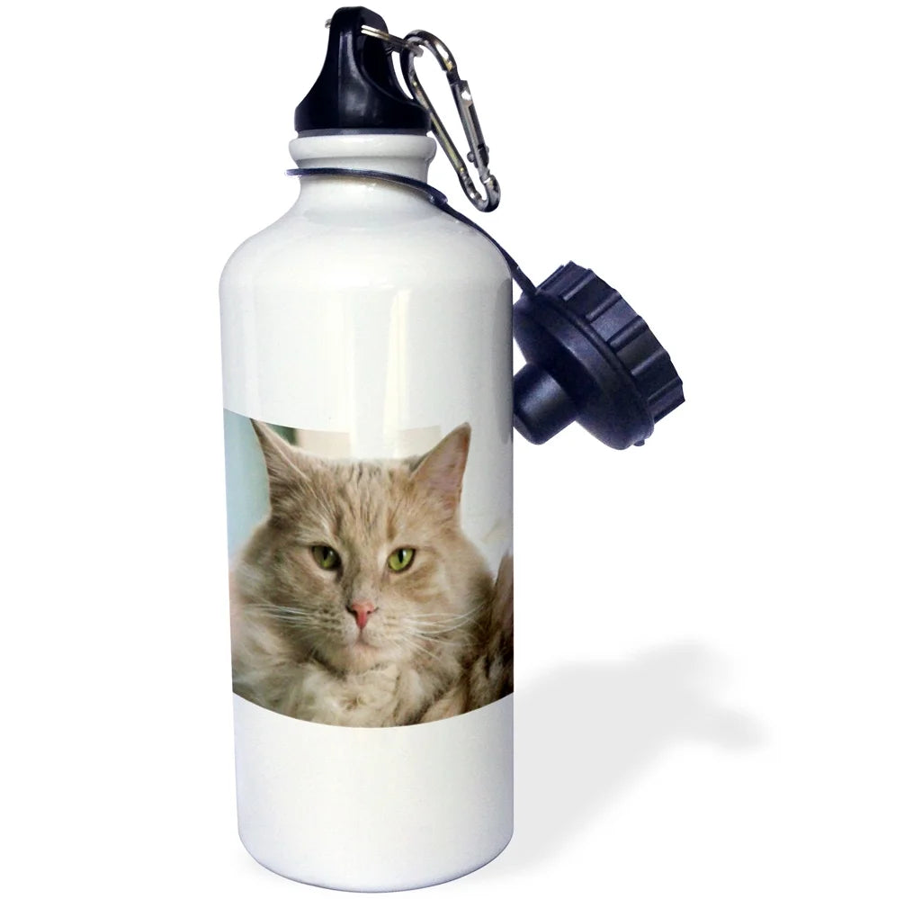 Gray Cat Sports Water Bottle 21oz S82429
