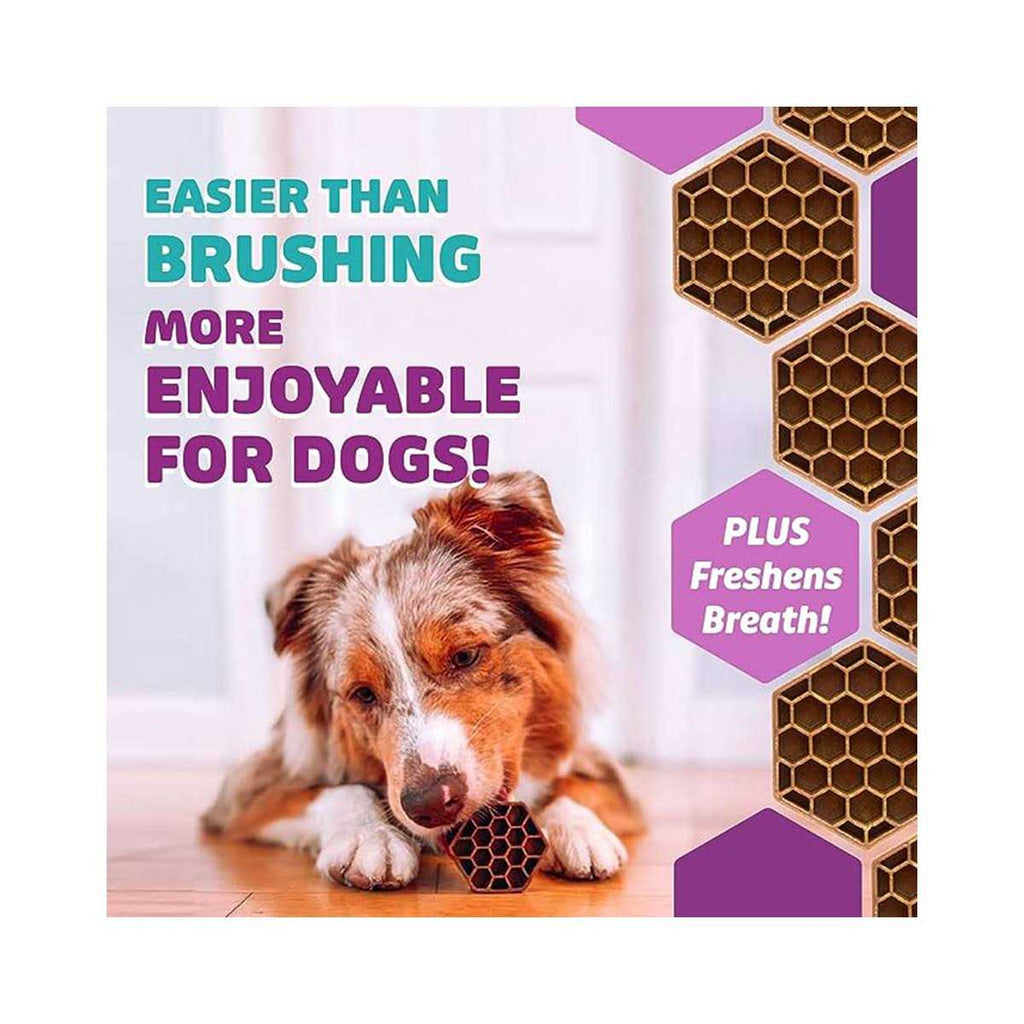 Dog Dental Treats S646890