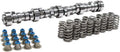 Truck Cam and Spring Kit LS 4.8 5.3 6.0 W767709