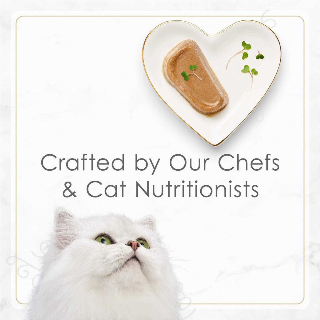 Tender Turkey Pate Wet Cat Food O1112