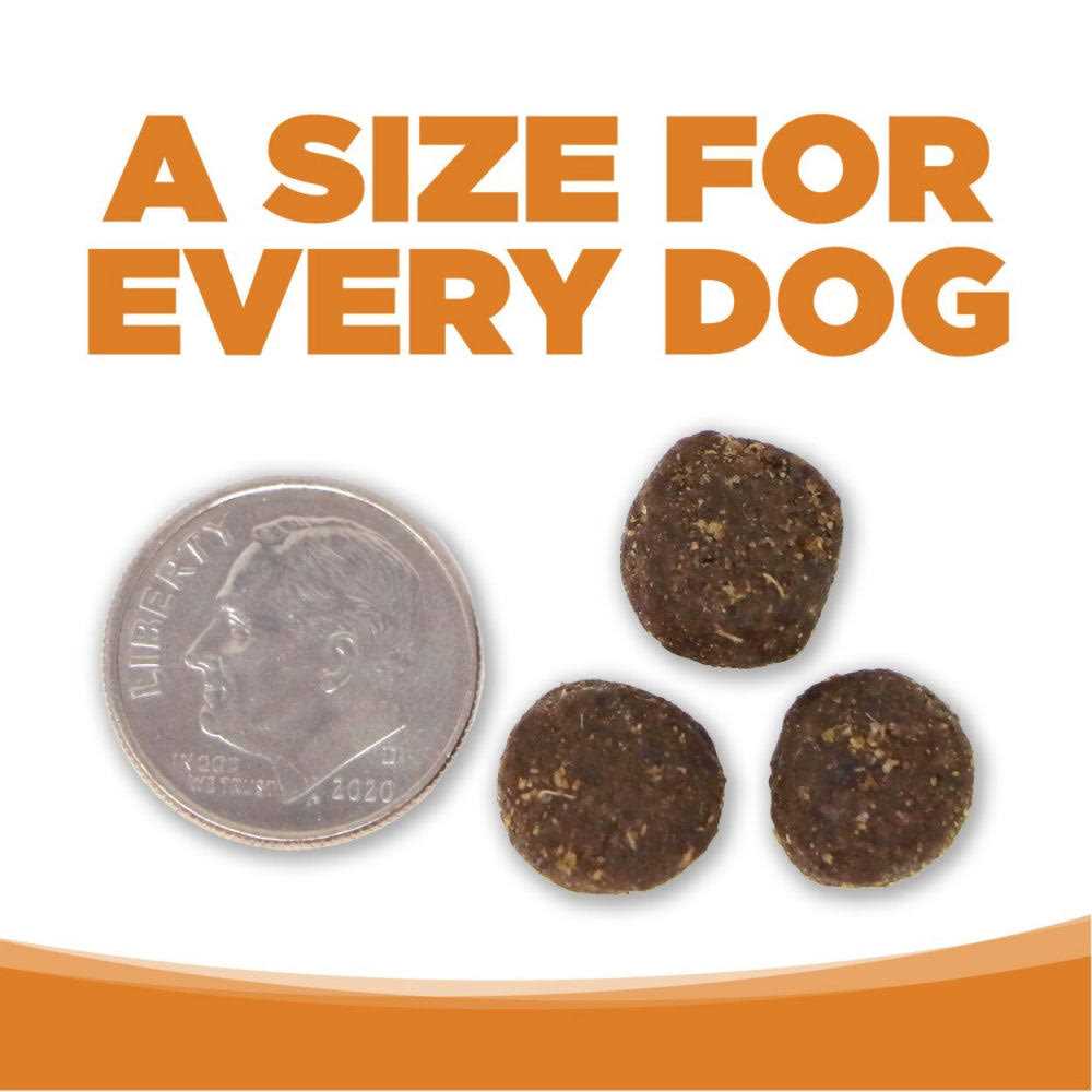 Lamb Rice Dry Dog Food W725