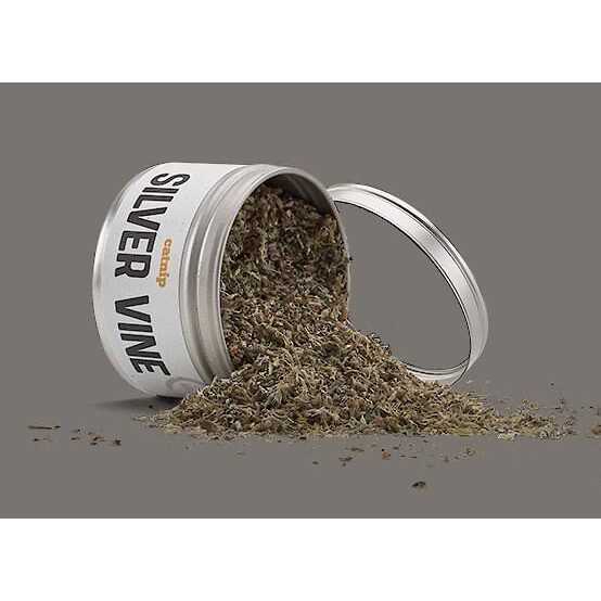 Silver Vine Catnip S273921