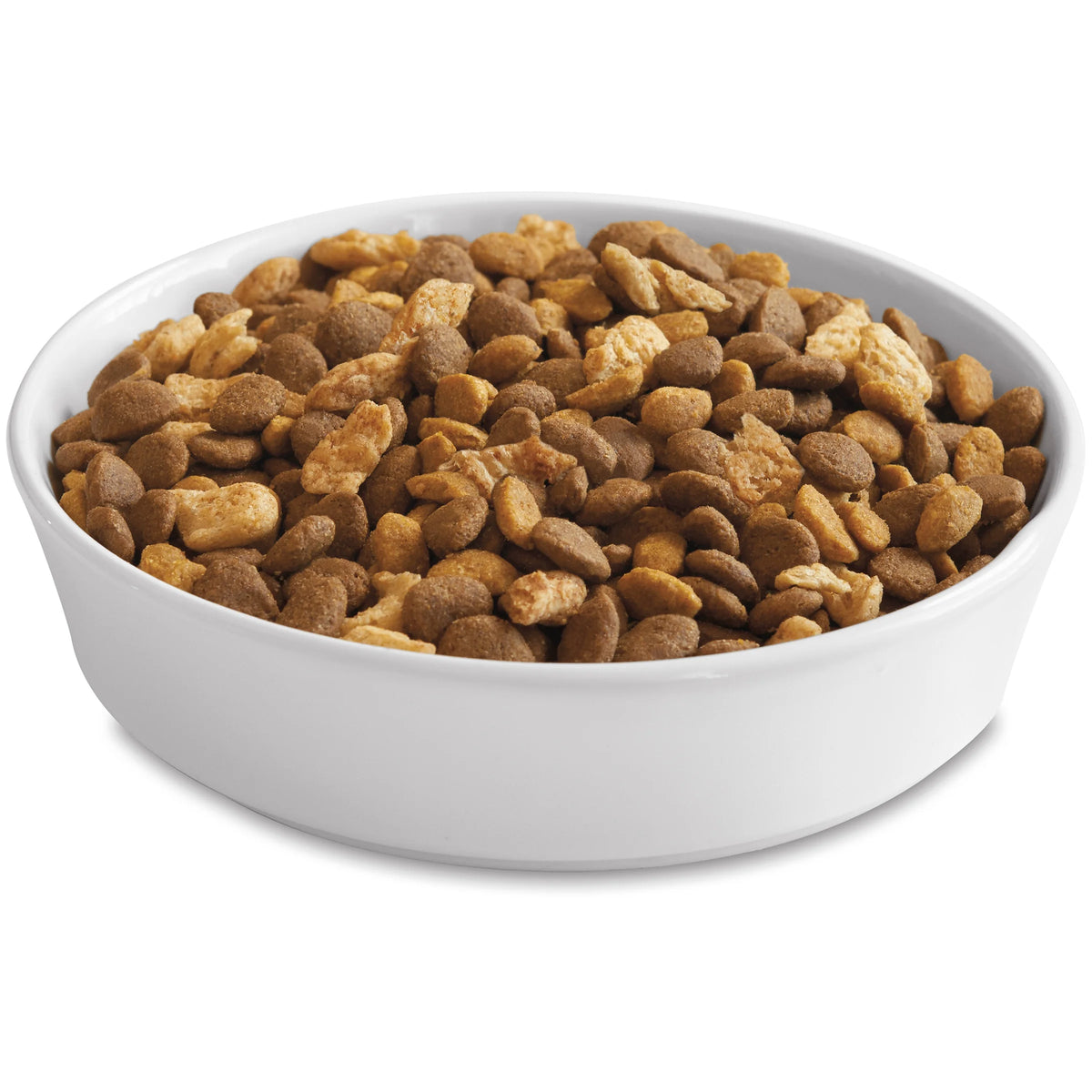 22 lb. Cat Food with Real Salmon S143