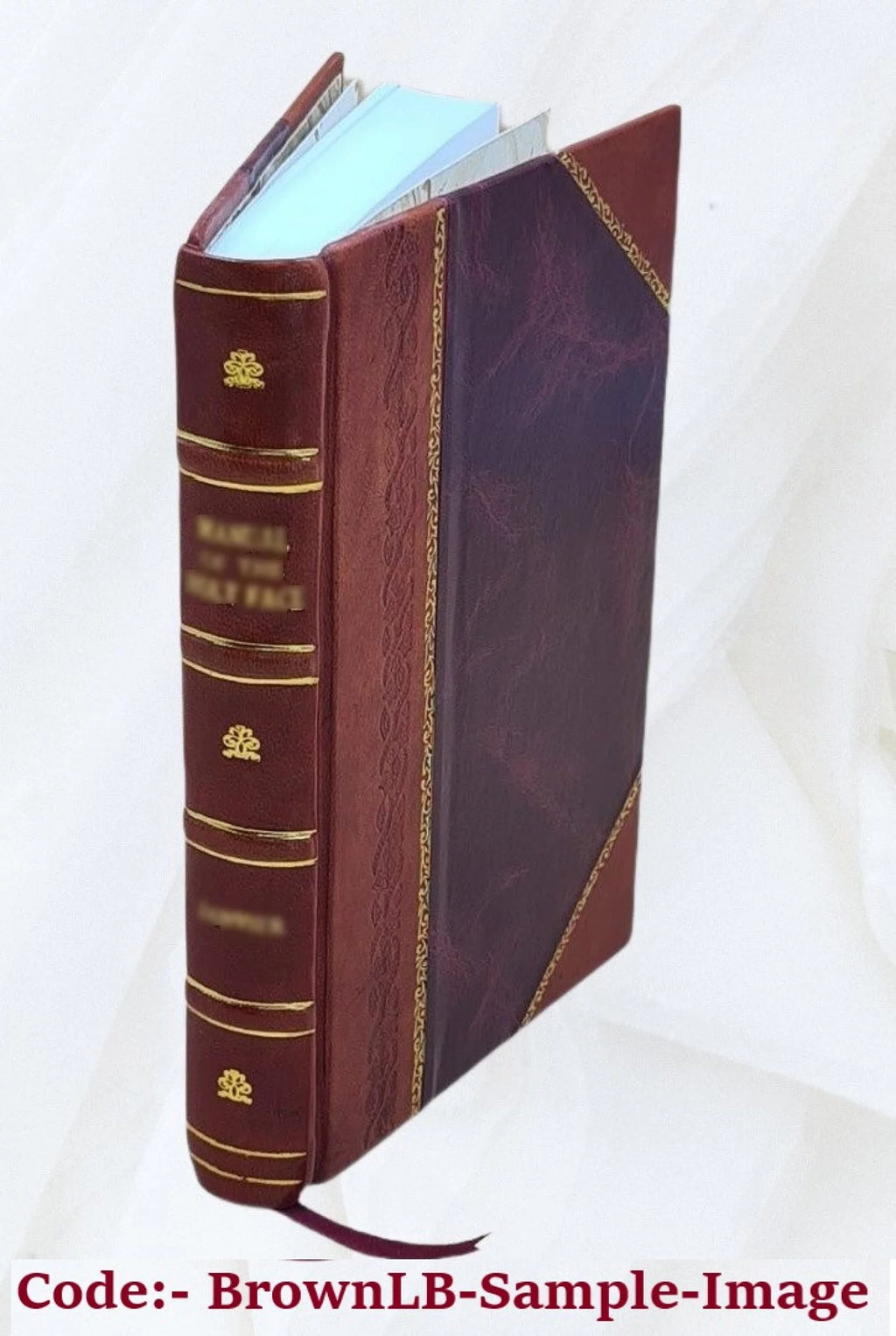 Rio de Janeiro Piauhy Travel Impressions Leather Bound C3450