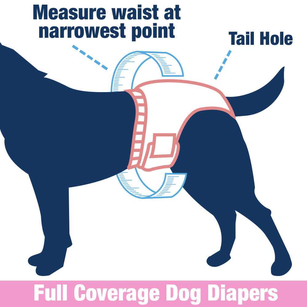 Female Dog Disposable Diapers T82924