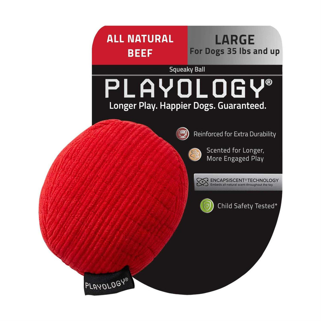 Scented Plush Dog Toy R508815