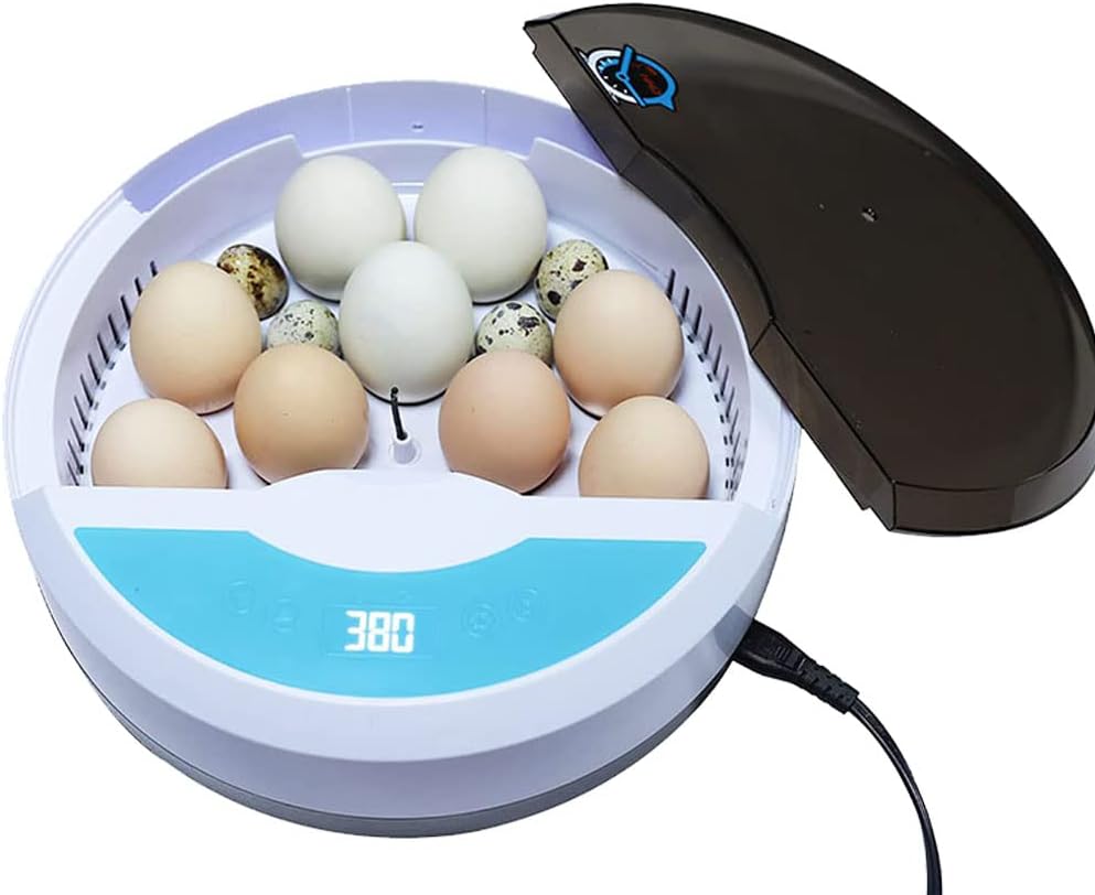 55 Egg Capacity Incubator with Automatic Egg Turning and Temperature Control Z9028