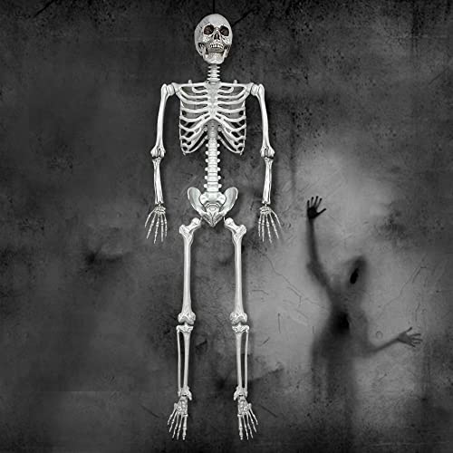 5.4Ft Life Size Skeleton with Movable Joints W1779