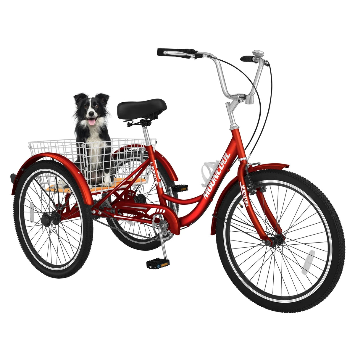 24 Single Speed Tricycle with Basket D631745