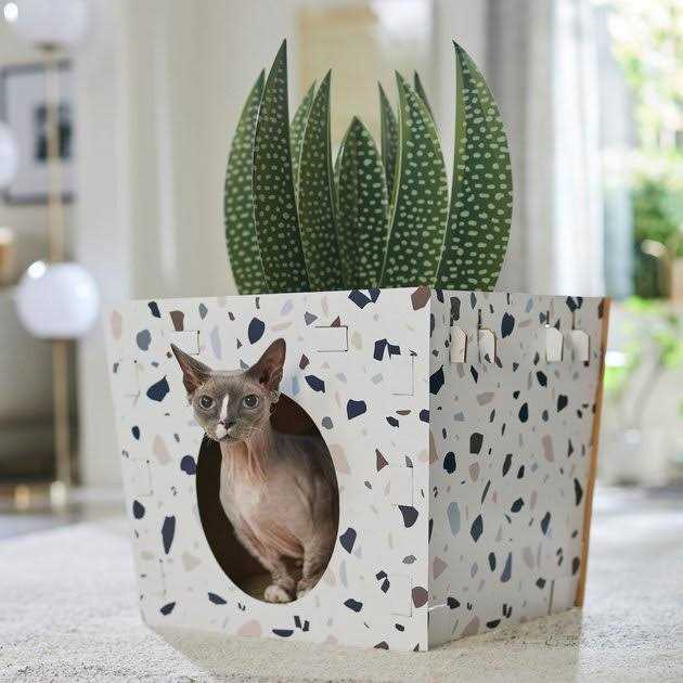 Cardboard Cat House Z385