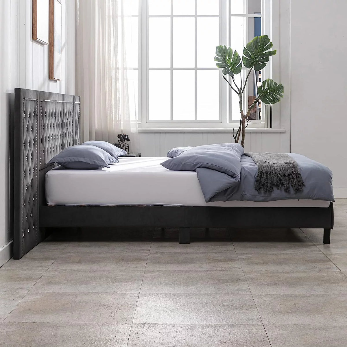 Dark Grey Velvet Upholstered Queen Size Bed Frame C55644