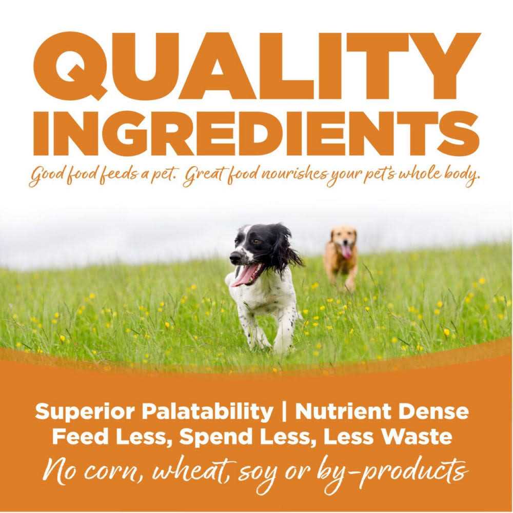 Lamb Rice Dry Dog Food W725