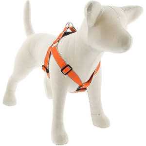 Dog Step in Harness R494340