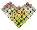 20 Pack Assorted Potted Succulent Plants in Cacti and Succulent Soil Mix O387528