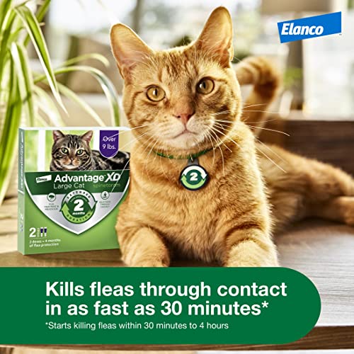 Large Cat Flea Prevention Treatment, 4 Topical Doses Z5030
