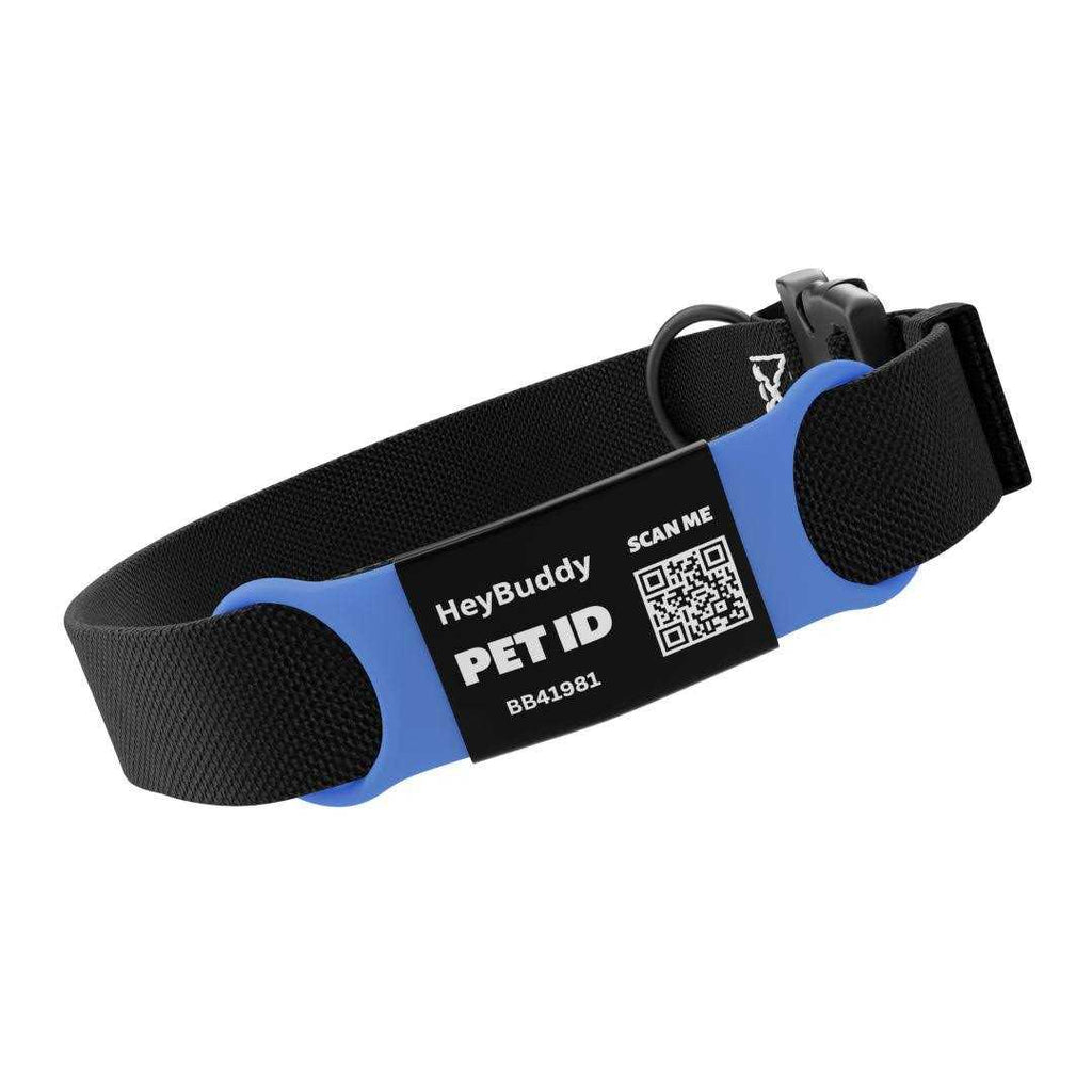 Noiseless QR Code Pet Tag V5814