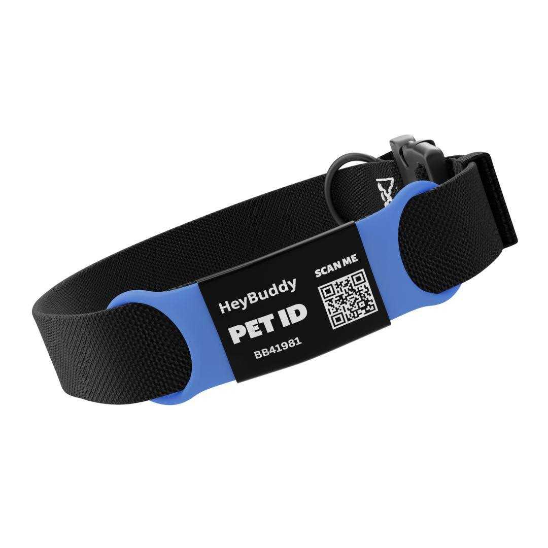 Noiseless QR Code Pet Tag V5814