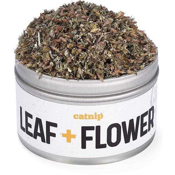 Silver Vine Catnip S273921