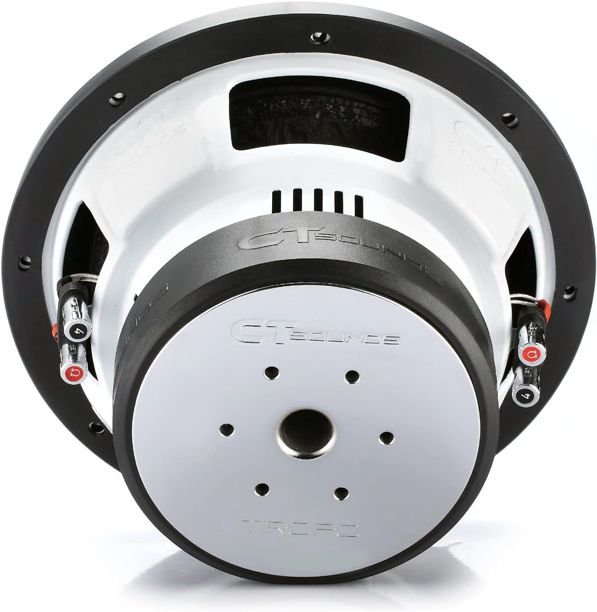 10 Inch Car Subwoofer Dual 2 Ohm R6165