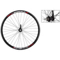 Black 700c 36H Coaster Brake Rear Wheel C833276
