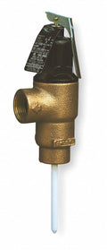 T and P Relief Valve Q31863