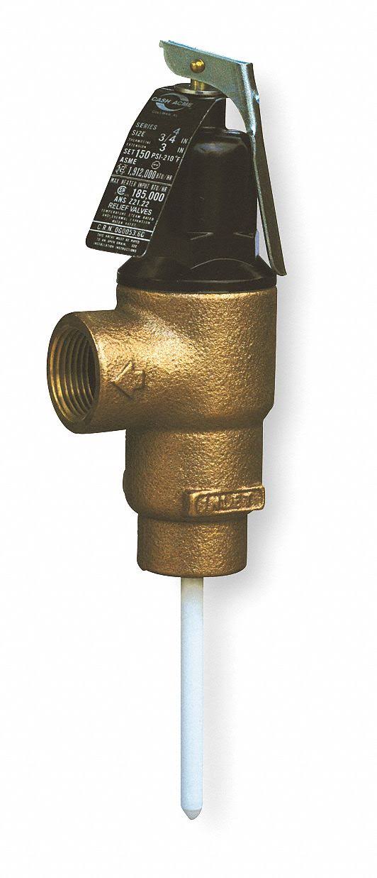 T and P Relief Valve Q31863