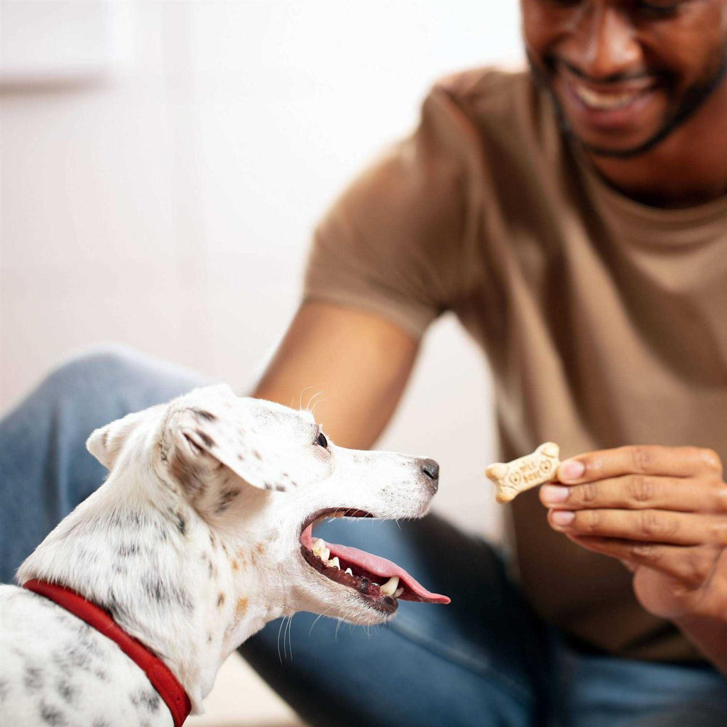 Mini Dog Biscuits U248199