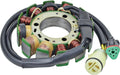 Stator Coil Pack of 2 B681438