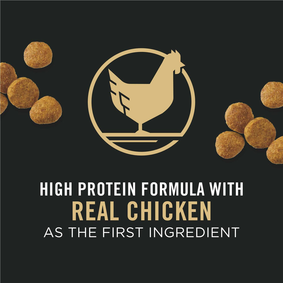 Chicken & Rice Formula Dry Puppy Food B87782