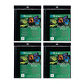 A2 Size Art Polyglass Pages 4-Pack V726