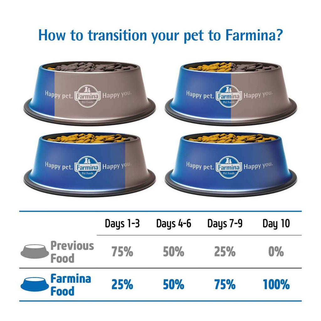 Pumpkin Lamb & Blueberry Puppy Dry Dog Food X51877