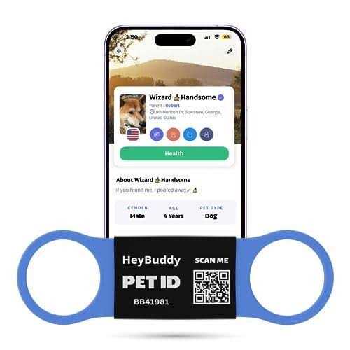 Noiseless QR Code Pet Tag V5814