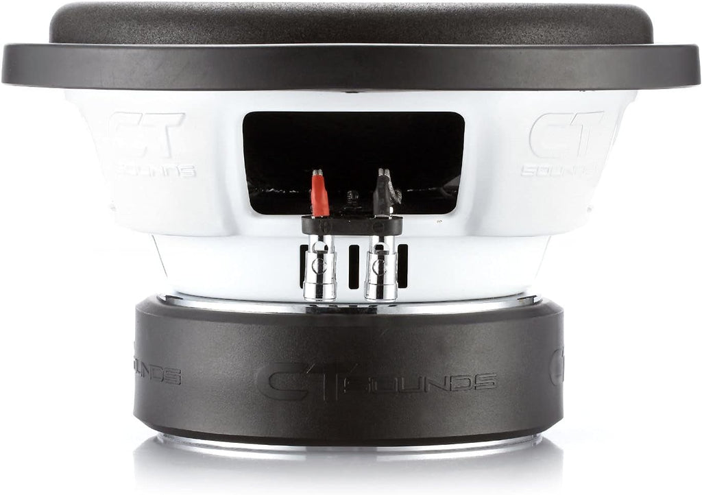 10 Inch Car Subwoofer Dual 2 Ohm R6165