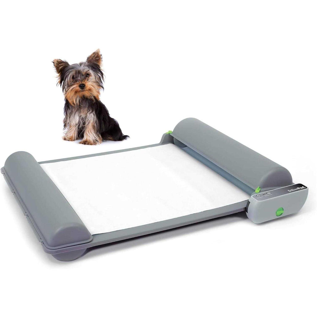 Self-Cleaning Automatic Indoor Dog Potty C869988
