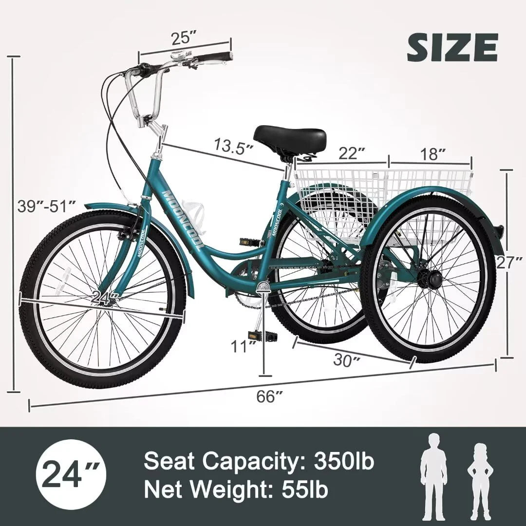 24 Inch 1 Speed Adult Tricycle X32051