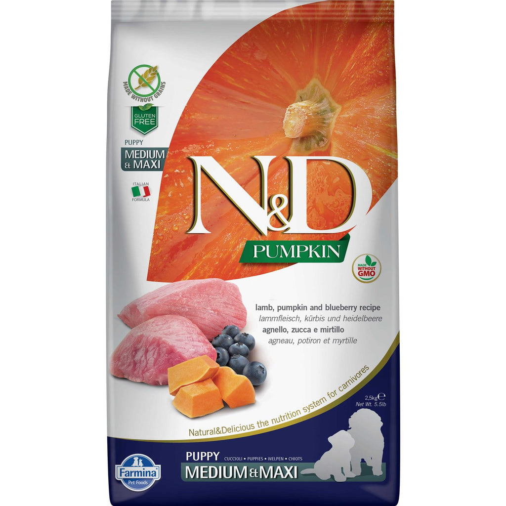 Pumpkin Lamb & Blueberry Puppy Dry Dog Food X51877