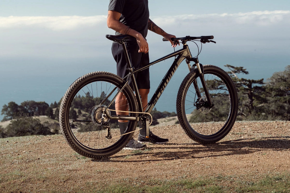 29 Mountain Bike, 19-in Frame, 8 Speeds, Black Q82332