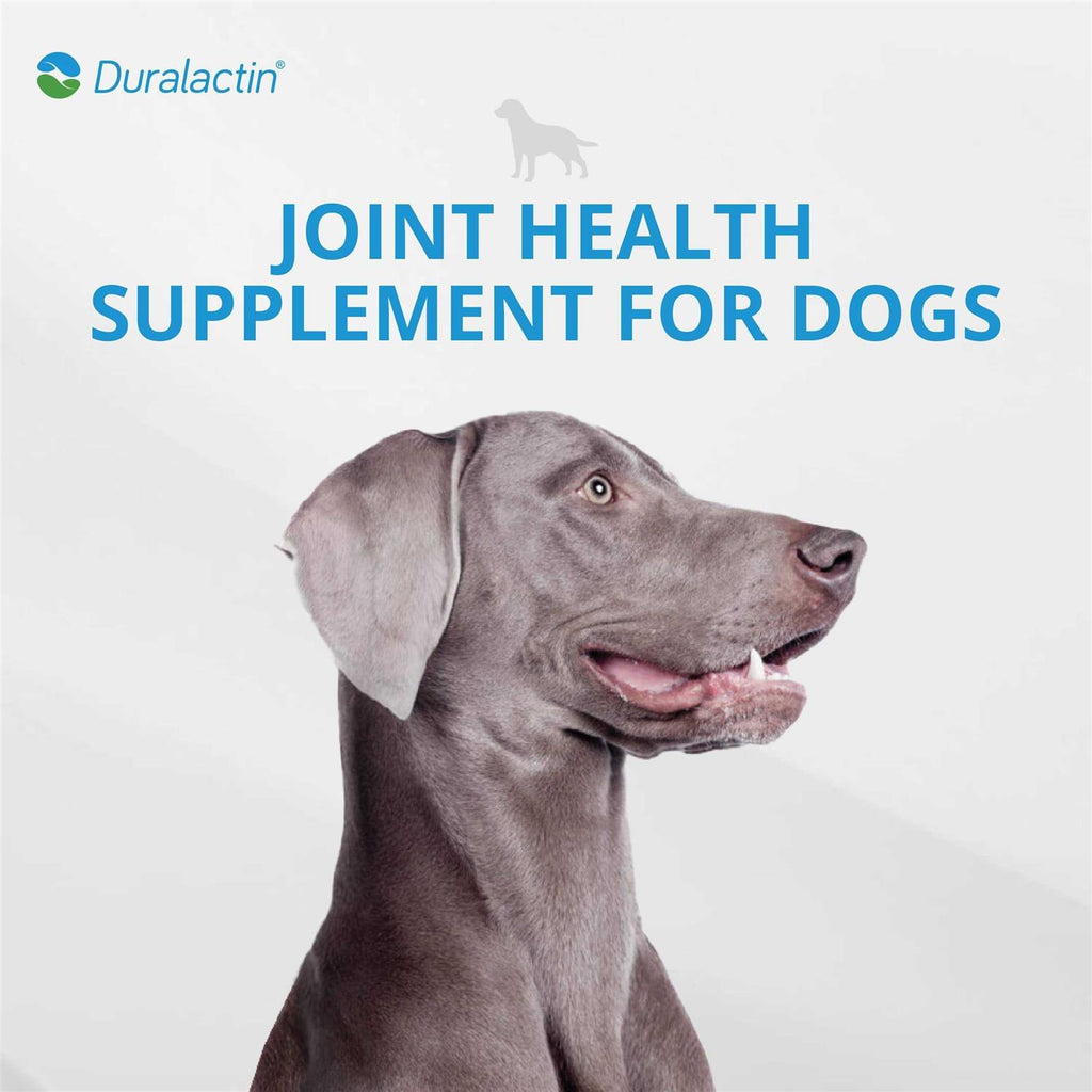 Joint Soft Chews U79220