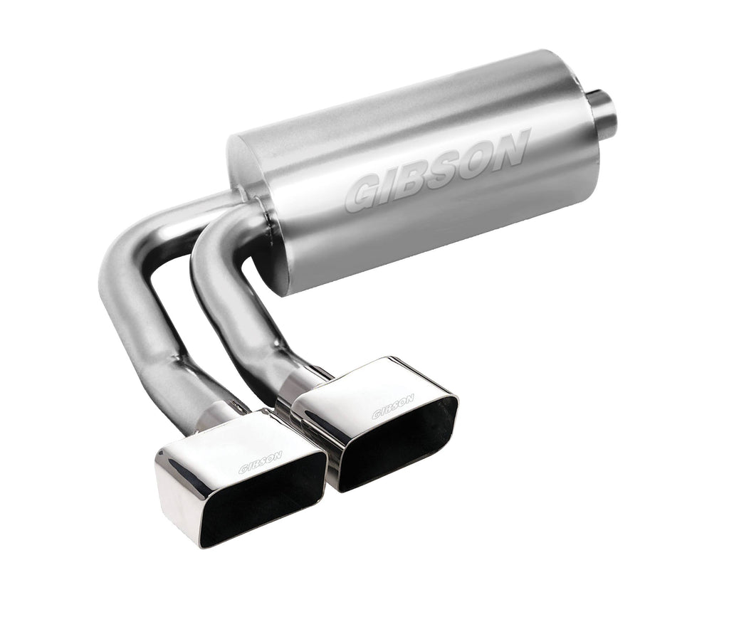 Stainless Cat-Back Dual Split Exhaust System H2418