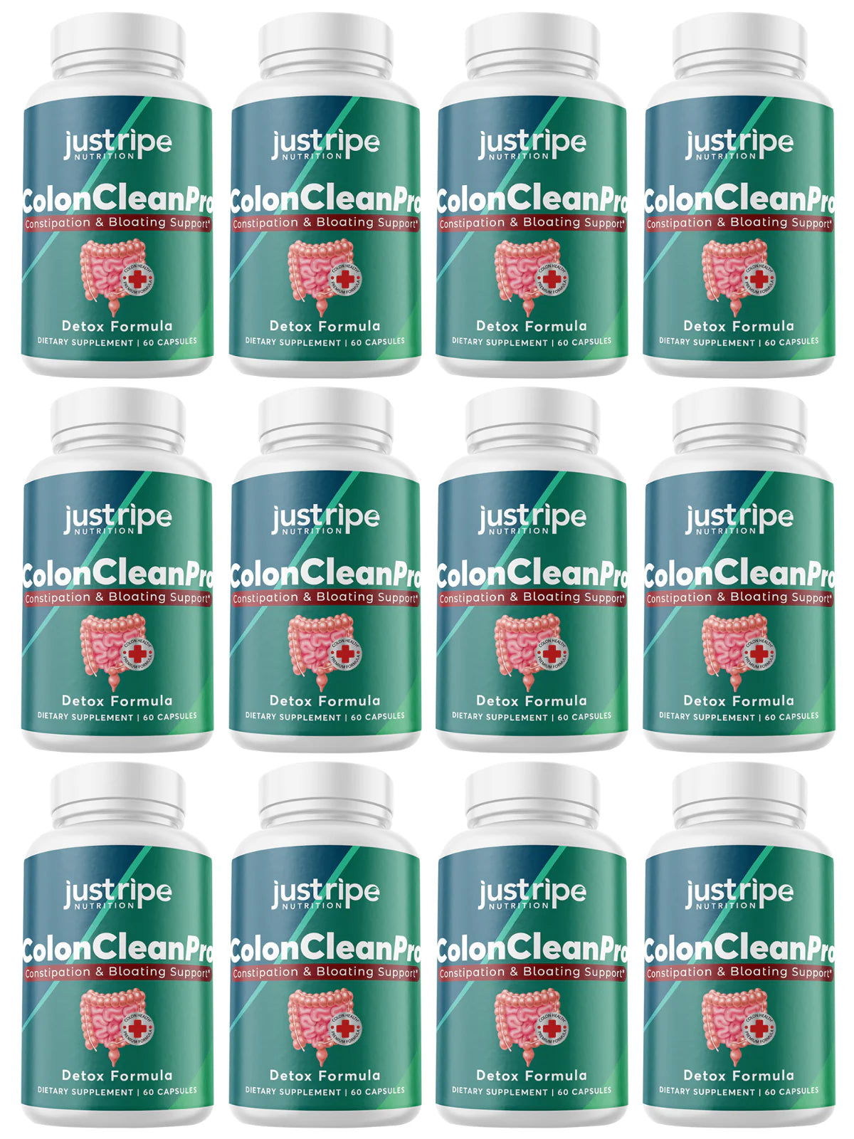 12 Pack Natural Digestive Support Supplement 60ct Q23182